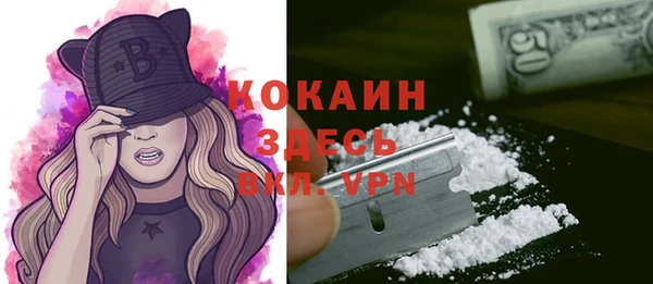 прущие крисы Новозыбков