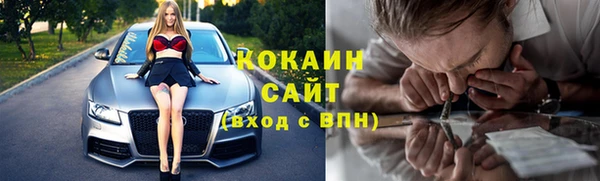 прущие крисы Новозыбков