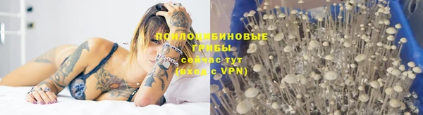 2c-b Новокубанск
