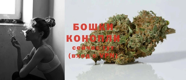прущие крисы Новозыбков