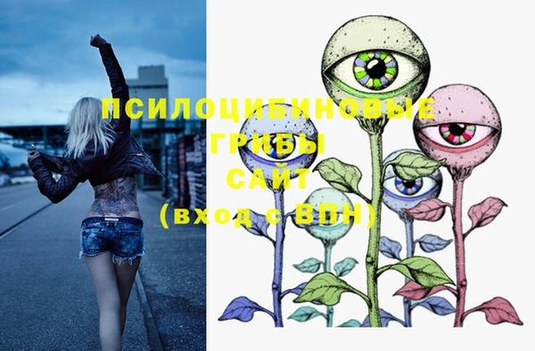 прущие крисы Новозыбков