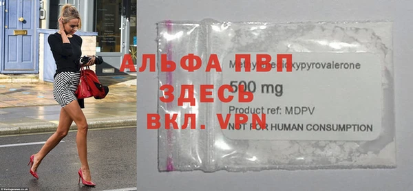 прущие крисы Новозыбков