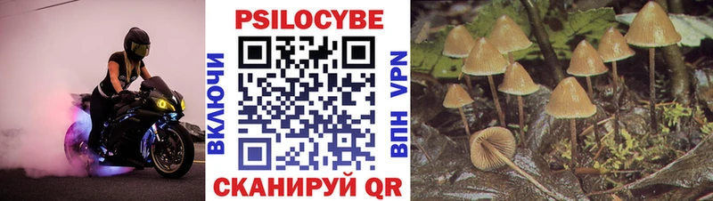 Галлюциногенные грибы Psilocybe Советский